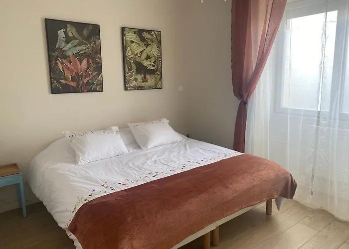 Appartement T2 Spacieux Et Equipe
