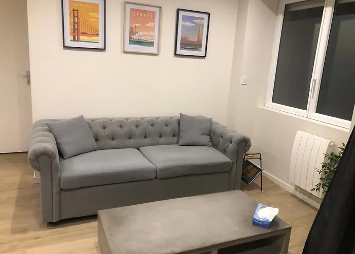 Appartement T2 Spacieux Et Equipe